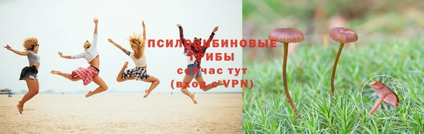 скорость mdpv Белокуриха