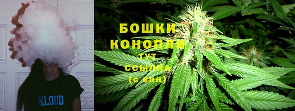прущие крисы Беломорск