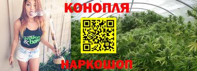 apvp Камышлов