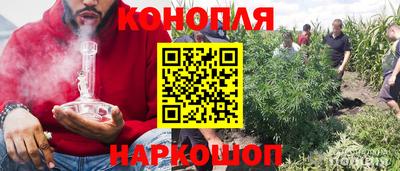прущие крисы Канаш