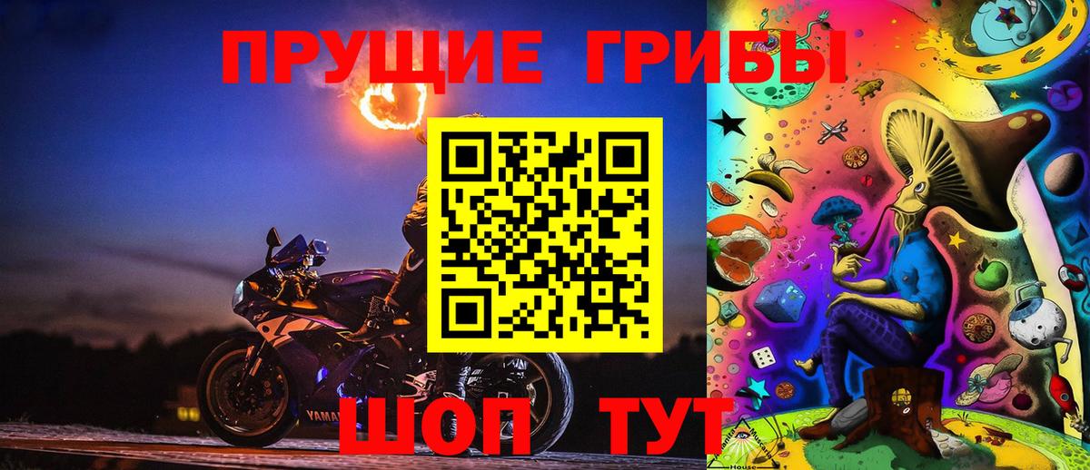 Галлюциногенные грибы Psilocybine cubensis Луховицы