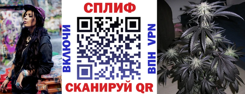 МАРИХУАНА сатива  Луховицы 